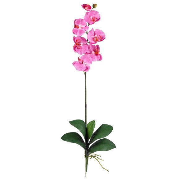 31.5 Phalaenopsis Stem - SKU #2044-MB - 4